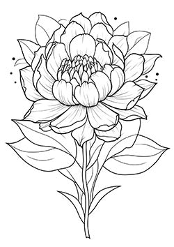 Tattoo template of a detailed peony flower in bloom