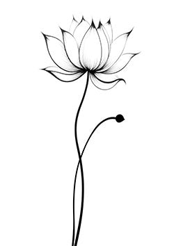 Tattoo template of a lotus flower representing tranquility and purity