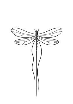 Tattoo template of a detailed dragonfly with intricate wings