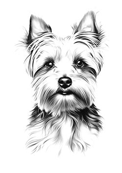 Tattoo template of a black and white Yorkshire Terrier portrait with soulful eyes