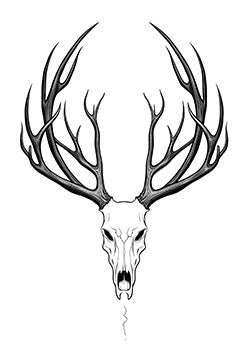 Tattoo template of a stag skull with antlers