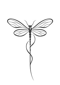 Tattoo template of a minimalist dragonfly with elegant wings