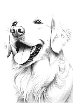 Tattoo template of a cheerful Golden Retriever with its tongue out