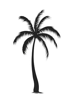 Tattoo template of a solitary palm tree silhouette