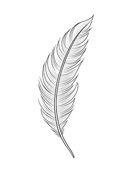 Tattoo template of a detailed and elegant feather with delicate lines and flowing curves