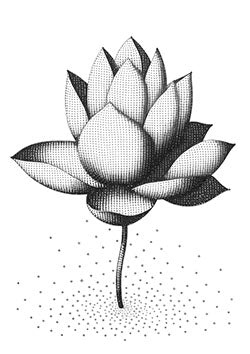 Tattoo template of a dotwork lotus flower design