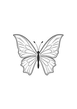 Tattoo template of a symmetrical detailed butterfly