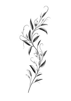 Tattoo template of a stylized botanical design with curving leaves