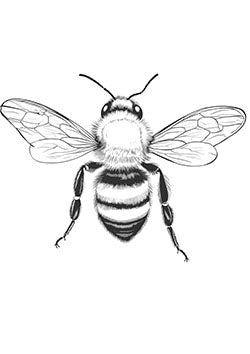 Tattoo template of a detailed bee with realistic wings and fur, embodying nature and life