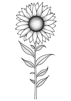 Tattoo template of a detailed sunflower radiating beauty and positivity with intricate petal and leaf patterns.