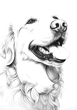 Tattoo template of a joyful golden retriever with a happy expression and playful tongue