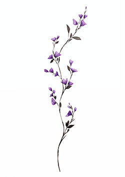 Tattoo template of a violet flower vine with blossoms and delicate leaves