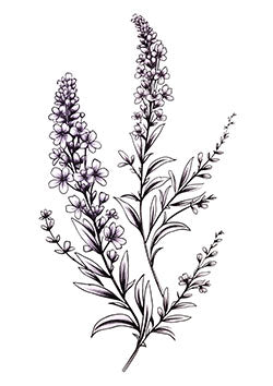 Tattoo template of blooming lupines and wildflowers bouquet