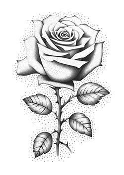 Tattoo template of a detailed dotwork rose with shaded petals