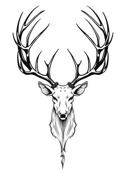 Tattoo template of a majestic stag with large antlers