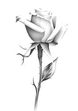 Tattoo template of a delicate rose with intricate shading and lifelike textures