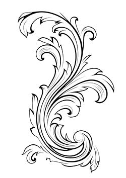 Tattoo template of a intricate flourish design with delicate swirls and elegant lines