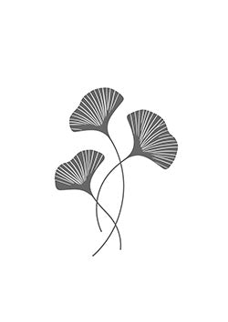 Tattoo template of a minimalist trio of intertwined ginkgo leaves