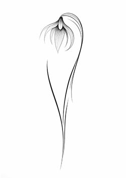 Tattoo template of a delicate abstract flower with elegantly curved lines