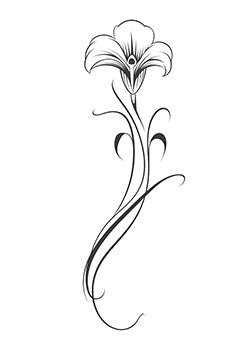 Tattoo template of a stylized lily flower with elegant curves and delicate lines, exuding beauty