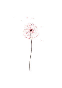 Tattoo template of a dandelion with seeds blowing away