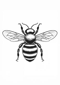 Tattoo template of a detailed bee with lined wings, representing natural beauty and craftsmanship