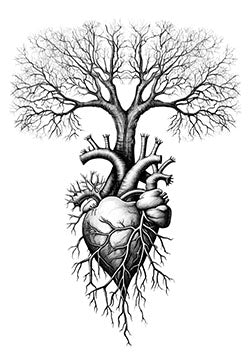 Tattoo template of a detailed anatomical heart transforming into a tree, symbolizing life and nature