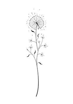 Tattoo template of a dandelion with seeds dispersing