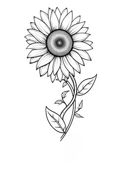 Tattoo template of a detailed sunflower with intricate petals and curving stem.