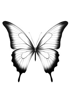 Tattoo template of a detailed butterfly with fading edges symbolizing graceful transformation