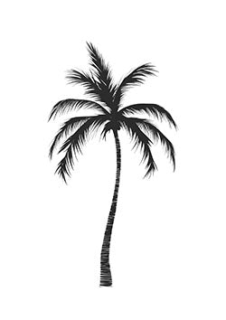 Tattoo template of a lone palm tree