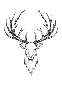 Tattoo template of a stag with sprawling antlers