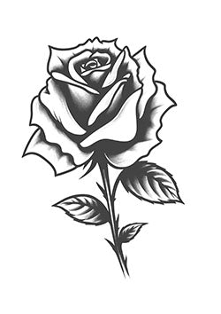 Tattoo template of a realistic rose in full bloom, symbolizing beauty and love