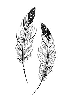 Tattoo template of symmetrical feathers