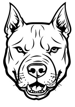 Tattoo template of a pit bull's face, symbolizing strength and loyalty