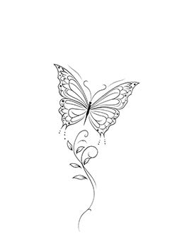 Tattoo template of a butterfly with ornate wings perched on an artistic vine