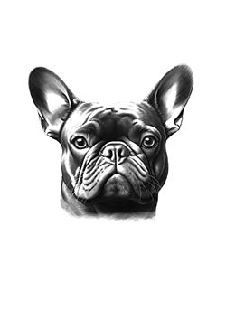 Tattoo template of a detailed French Bulldog with expressive eyes