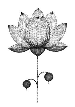 Tattoo template of a dotwork lotus flower with buds