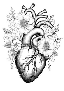 Tattoo template of an anatomical heart with blooming flowers