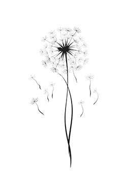 Tattoo template of a dandelion with seeds dispersing