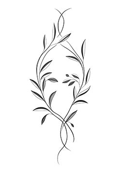 Tattoo template of an olive branch with intricate leaves