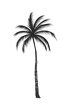 Tattoo template of a palm tree evoking peace and calm