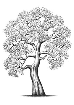 Tattoo template of a detailed flourishing tree