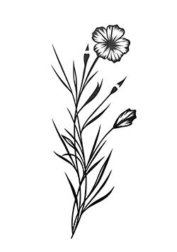 Tattoo template of a delicate flower with slender stems and buds reflecting nature's simplicity and elegance