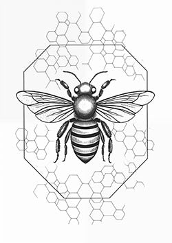 Tattoo template of a bee within a geometric hexagon pattern, symbolizing unity and industriousness