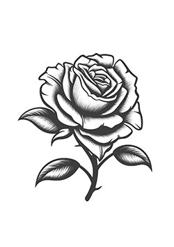 Tattoo template of a detailed black and white rose symbolizing love and beauty