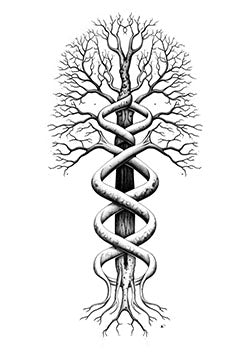 Tattoo template of a tree with entwined serpents symbolizing eternal life and interconnected destinies