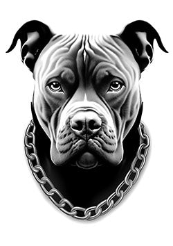 Tattoo template of a black and white pit bull with a chain collar