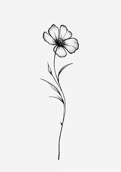 Tattoo template of a delicate, single flower with a slender stem and graceful leaves.