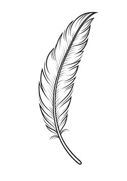 Tattoo template of a delicate, elegant feather, symbolizing lightness and freedom